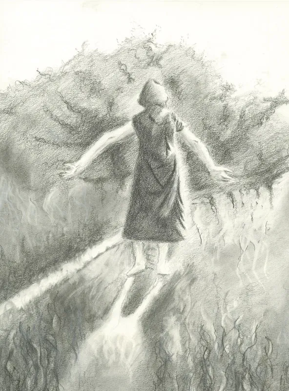 The Stroll